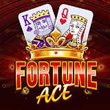 Fortune Ace™