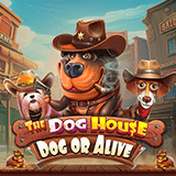The Dog House DOA™