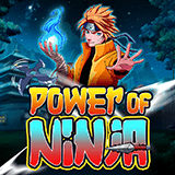 Power of ninja™